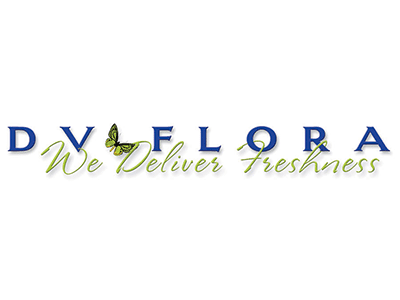 DV Flora