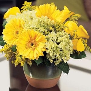 Get Well flowers and casual Easy living style