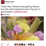 screenshot of a twtter feed that is talking about the petal it forward campaign