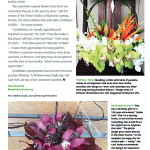 screenshot of the Business of Design column from Floral Managment magazine