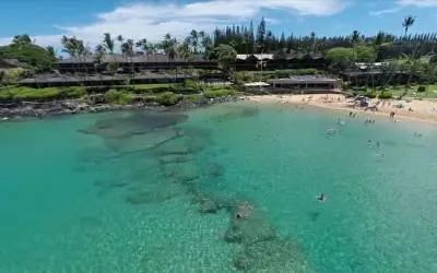 Paradise Found: Additional Guest Rooms Available for SAF Maui 2016