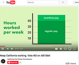 California Senate Passes Farmworkers Overtime Bill