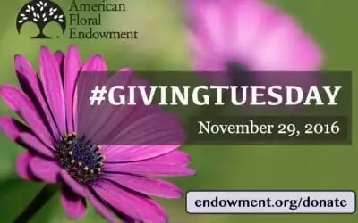 AFE Joins the 2016 #GivingTuesday Movement