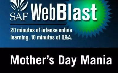 Free WebBlast to Give Mother’s Day Marketing, Sales Pointers