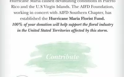 AIFD Foundation Launches Hurricane Maria Florist Fund