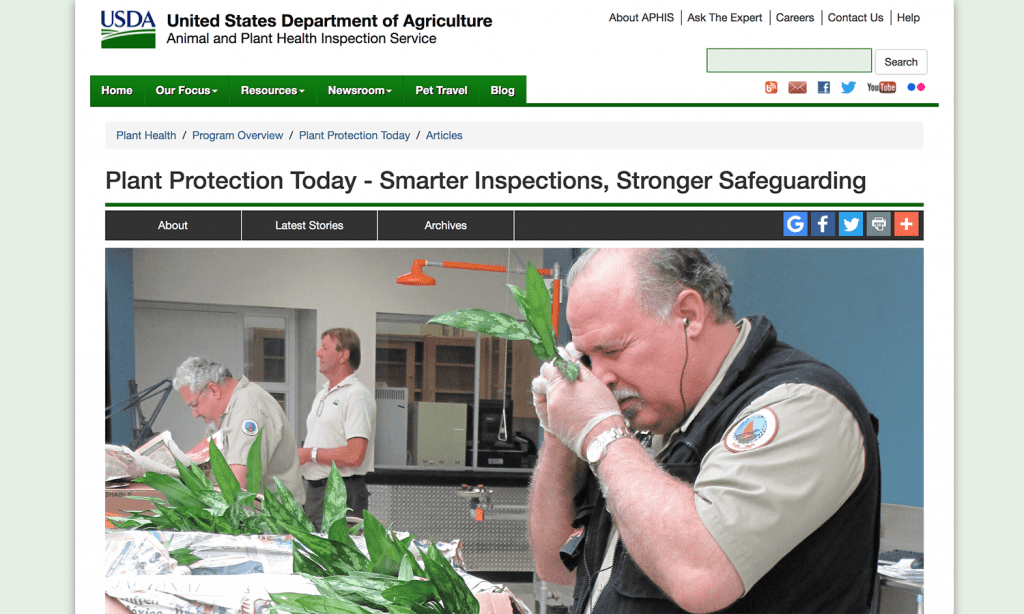 The US Department of Agriculture’s Animal and Plant Health Inspection Service) recently announced a change in how it inspects imported plants-for-planting material. SAF members hailed the announcement as a common-sense shift.