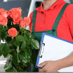 stock image of a man in a red shirt, green overalls delivering red roses