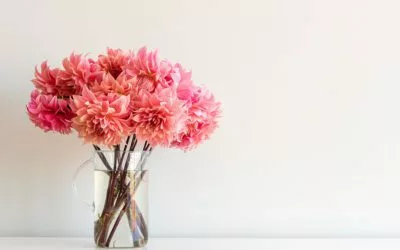 Long-Live Dahlias! Tips for Longer Vase Life