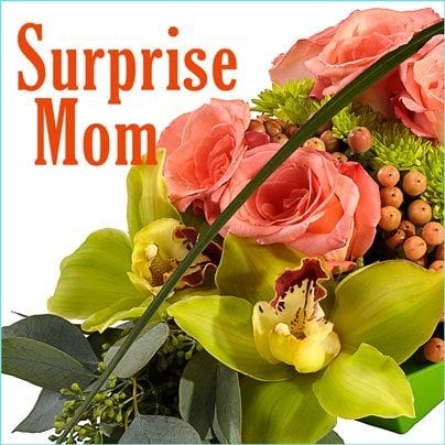 surprise mom banner