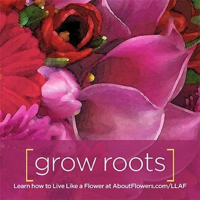 LIVE LIKE A FLOWER Facebook Graphic