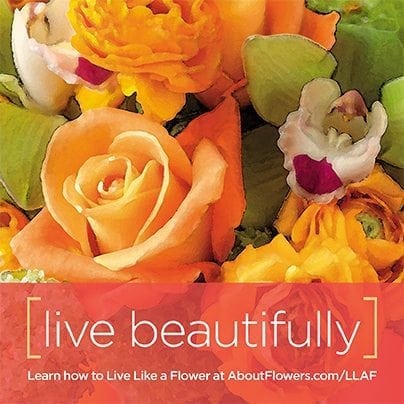 LIVE LIKE A FLOWER Facebook Graphic