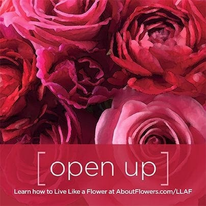 LIVE LIKE A FLOWER Facebook Graphic