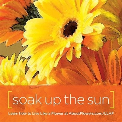 LIVE LIKE A FLOWER Facebook Graphic