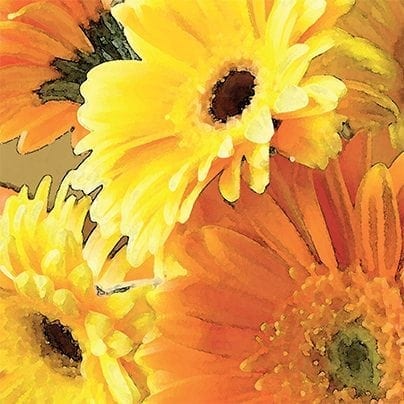 LIVE LIKE A FLOWER Facebook Graphic