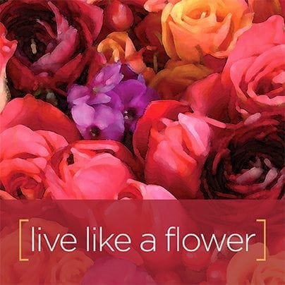 LIVE LIKE A FLOWER Facebook Graphic