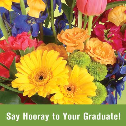 Banner Ad Library Graduation Safnow Org