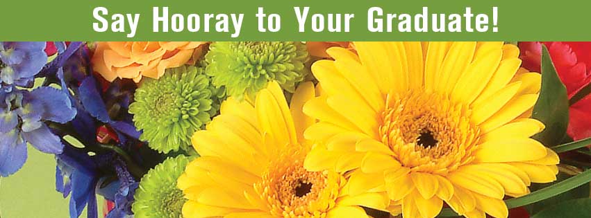 Banner Ad Library Graduation Safnow Org