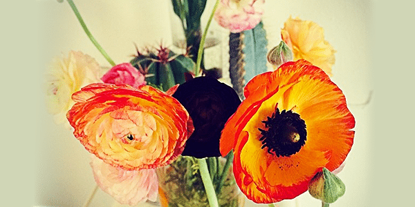Share This: 23 Persuasive Reasons To Buy Flowers