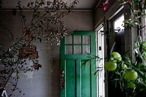 Floral Designer Turns Derelict House into Artwork