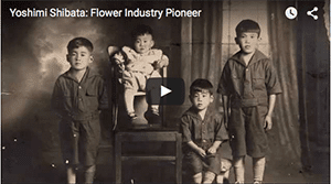 Yoshimi Shibata’s floral industry and family life are documented in a brief video, first screened at the CalFlowers Fun ‘n Sun conference in Monterey, California, when he was awarded the CalFlowers 2015 Distinguished Service Award.