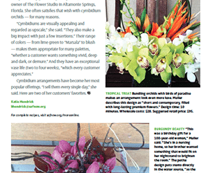 Brighten Up Your Customers’ World With Orchids