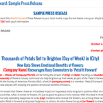 sample press release