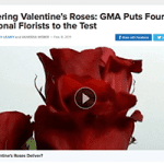 screenshot of red roses old video post of good morning ameria testing florists for Valentines day.