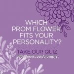 Which Prom Flower Are You?