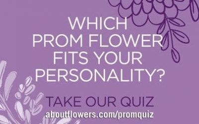SAF PR Program Drives Teens to Prom Flowers