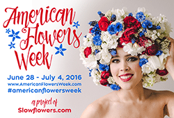 The second annual “American Flowers Week” is June 28 to July 4. Certified American Grown Flowers, Mayesh Wholesale, Syndicate Sales and Longfield Gardens are among the industry groups supporting the effort.