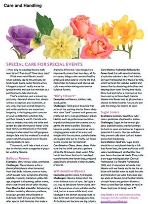 Special Care for Special Day Cuts