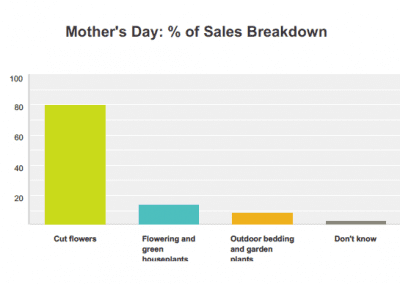 Chart from Mother's Day 2016 Survey