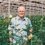 Jim Noodle standing in a greenhouse with yellow roses