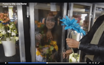 Connecticut Florist Shows Personality with ‘Mannequin Challenge’ Video