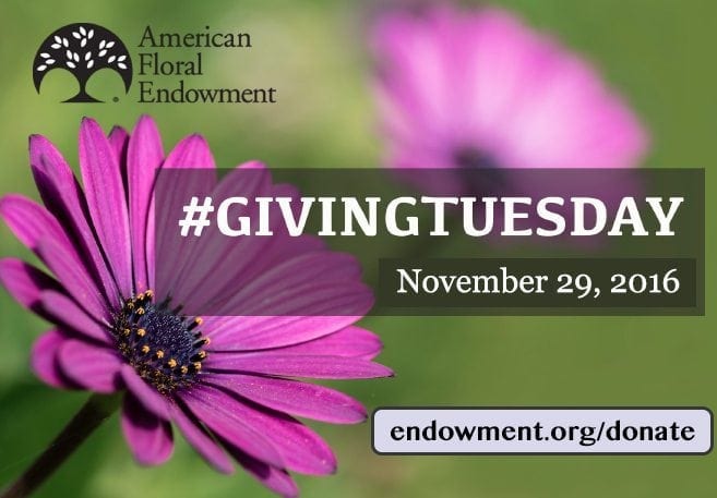 AFE Joins the 2016 #GivingTuesday Movement