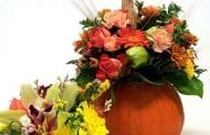 Pumpkins Add Punch to Thanksgiving Work