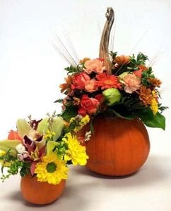 Pumpkins are the key to higher Thanksgiving sales at a British Columbia shop, where flower-filled squash attract customers looking for centerpieces and hostess gifts.