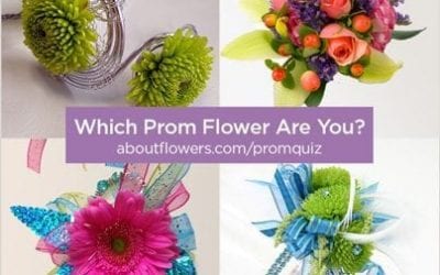 Attract Teen Shoppers with Prom Quiz Cheat Sheet