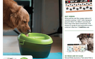 Capitalize on Pet Spending with New Products for Animal Lovers