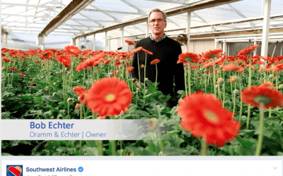 California Flower Farm Takes Staring Role in Southwest Ads
