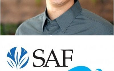 Learn SEO Scammers’ Scare Tactics and Giants’ Best Practices at SAF Palm Beach