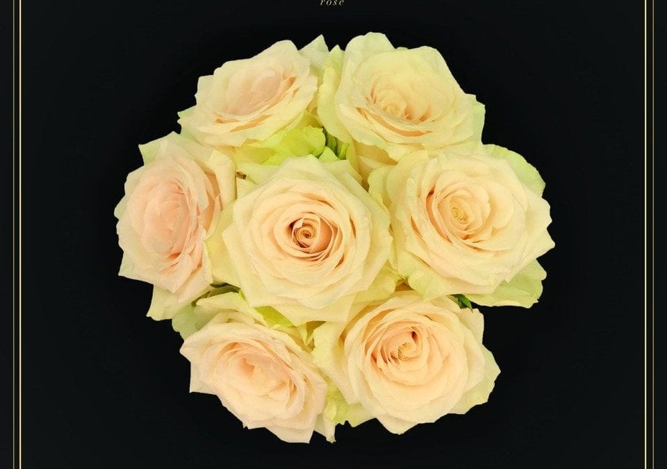 Rose Named for Beloved Floral Designer