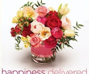 Promote “Happiness Delivered” with New Graphics