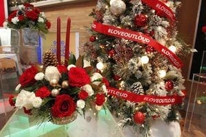 Teleflora Spruces Up ‘Good Morning America’ Set with Holiday Flowers