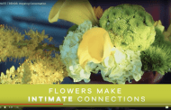 Use New Photos and Videos to Promote Flowers for Interior Décor