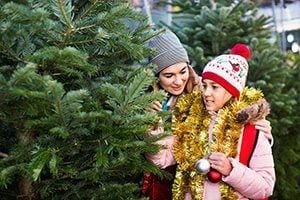 Christmas Tree Shortage Leads to Higher Prices
