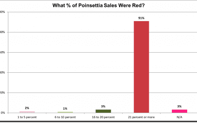 Red Poinsettias Still Rule