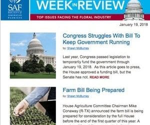 SAF Week In Review Keeps Members in The Loop