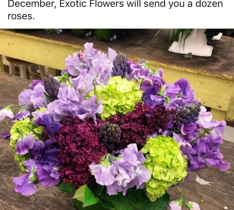 Amidst Winter’s Fury, Boston Florist ‘Conceives’ Clever Idea