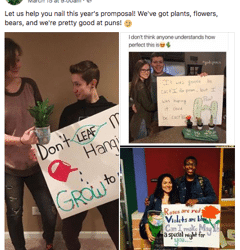 Flowers Elevate ‘The Ask’ for Promposals